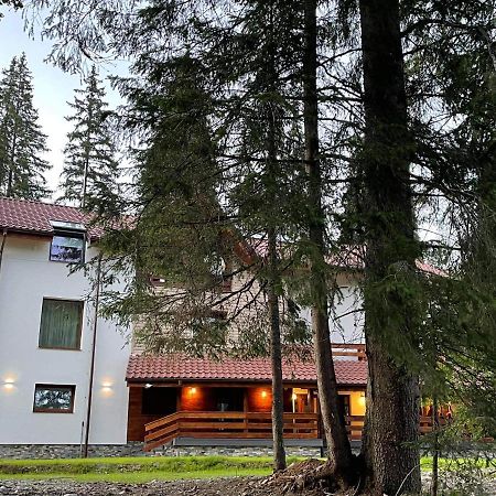 Sidharta Resort Обарсия Лотрулуи Екстериор снимка